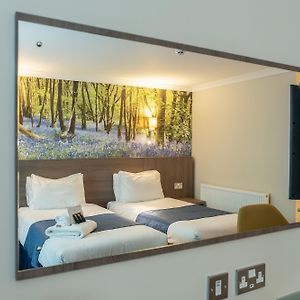 Executive Twin Room